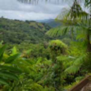 Meet your Posher, Lourdes